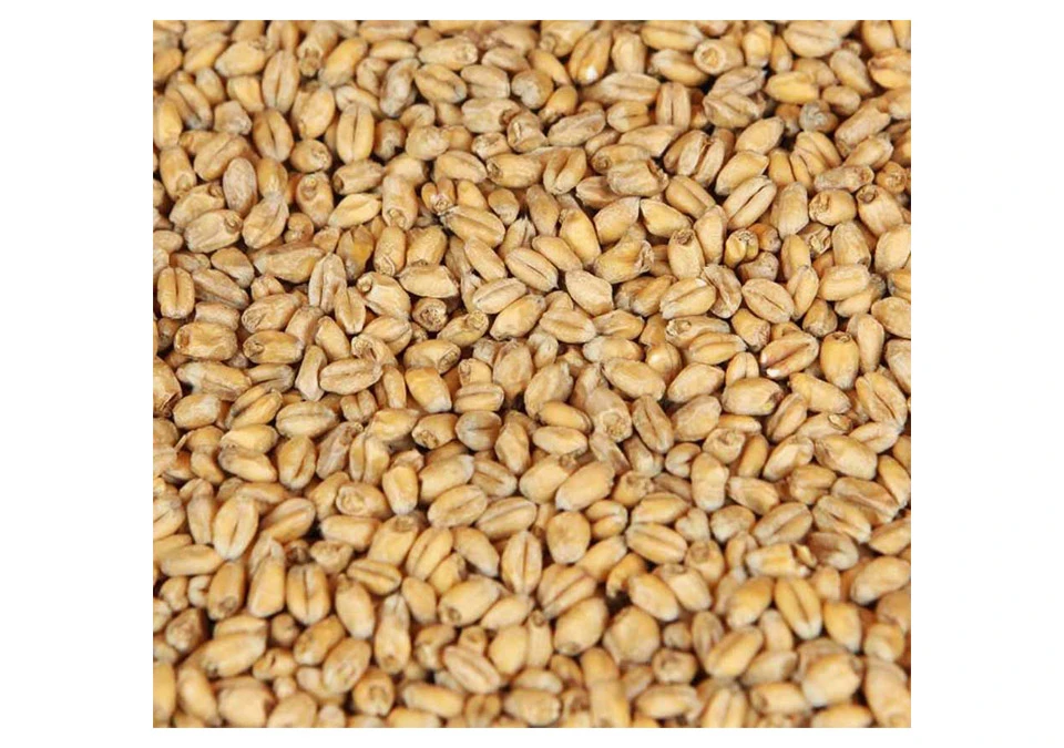 Weyermann Oak Smoked Wheat Malt 1kg Hel - Ekrökt vetemalt