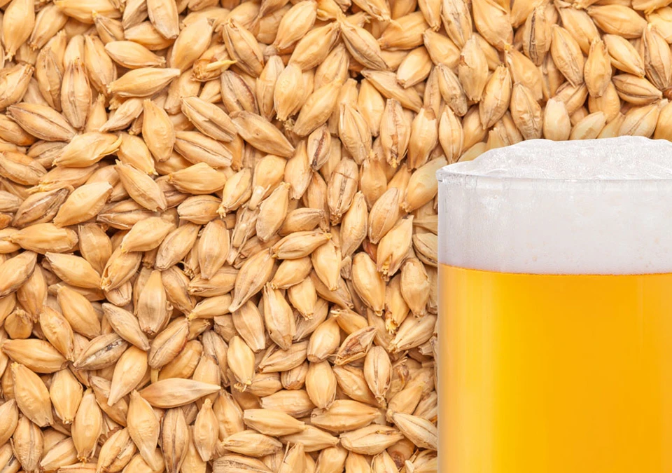 Bulldog Pilsner Malt 3kg Hel