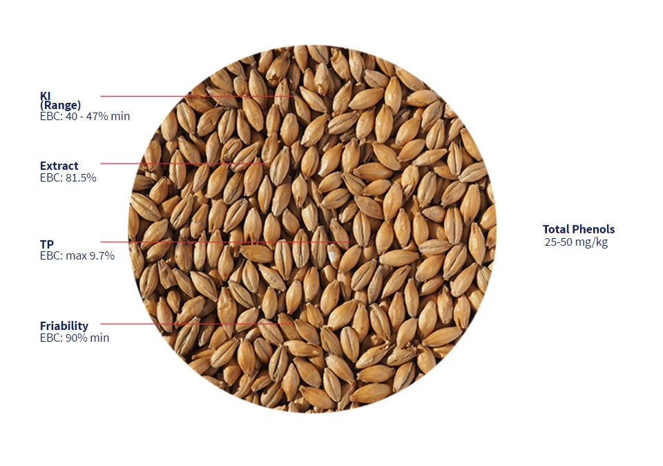 Crisp Scottish Heavy 50 Peat Malt 125g Krossad - Rökmalt